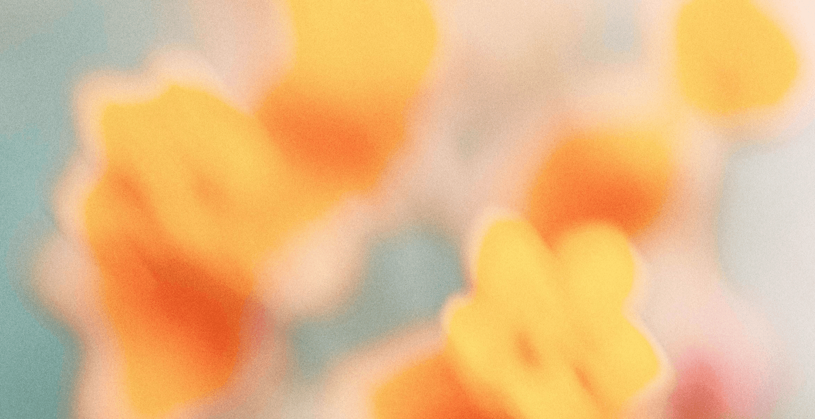 Flores de Bach